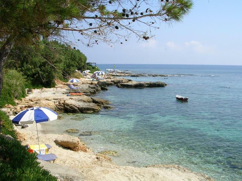Villa Saradari 赫索尼索斯 外观 照片